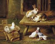 unknow artist Two Rabbits and three pigeons 069 USA oil painting artist